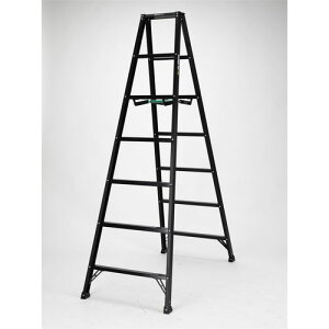 ALINCO(�A���C���R) �J���[��p�r�� BS210FX �A���~ ��210cm �y�ʐ݌v �r�� 7�� ��q ���^���[�^�C�v �����^�b�`�� �܏� �T�r�ɂ��� �V�G���u���b�N �ő�g�p����100kg