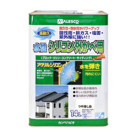 カンペハピオ 水性シリコン外かべ用 つや消し白 14L