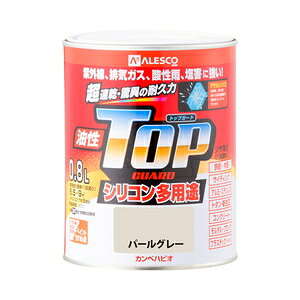 JynsI gbvK[h p[O[ 0.8L