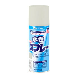 カンペハピオ 水性スプレーG シルバー 300ML