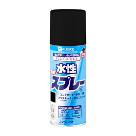カンペハピオ 水性スプレーG ツヤ消シブラック 300ML