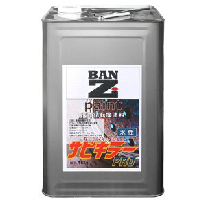 BAN-ZI TrL[v Vo[ Tr]h Tr~ߓh 16kg