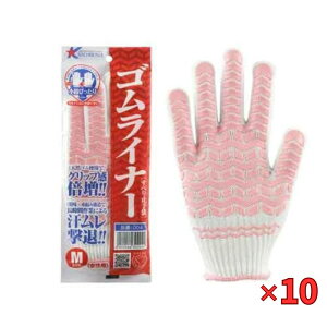 Y w10Zbgix ESCi[ 4 sN M