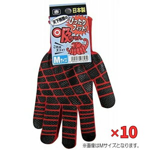 �����Y�� �w10�Z�b�g���i�x 784 �z����� �w�b�_�[ ���b�h L