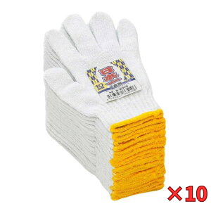 R[RXM w10Zbgix {RE2{ҁE10og B|2010 TV t[TCY