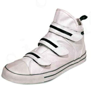 iS PRO V-1200/zCg/25.0cm