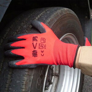 R[RXM VRSw10P Z-89/bh/L