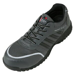 R[RXM Z[teB[Xj[J[ A-44000/`R[/24.5cm