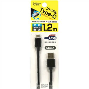 JV USB[d&A-TypeCP[u 1.2m ubN AJ573