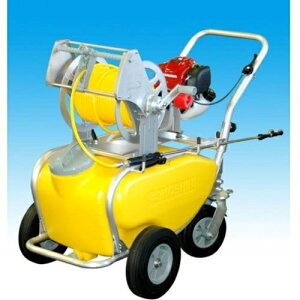 Hi(KOSHIN) GW^ K[fXv[[ 4TCN ^NEL[̌^ 6×50m MS-ERH50T