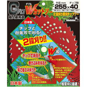 Vh GvWJbg\[ 2i`bv\[ 255X40P