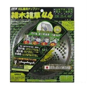 ѓSH SAF G؎G46 230x46P