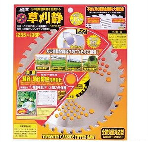 ���ѓS�H�� SAF ������ 255x36P