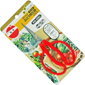 zH XeXԂǂԈ 175MM K|14