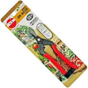 �z�H �̉Ԗ������� 160MM S�|20