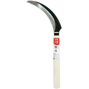 ���{�� ���ڋ��� �_�u���n 210MM�� 170MM