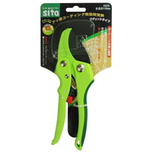 sita tbfR[eBOyʙ A826