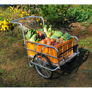 J ܂肽݃A~J[~j TAN|584