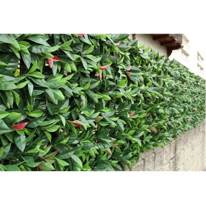 J AO[tFX 1X1M TAN|747 bhr