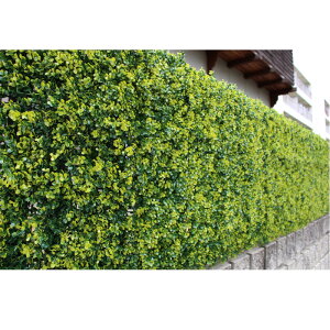 J AO[tFX 1X1M TAN|748 {bNXEbh