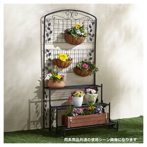 J tFXtt[X^h3izCg TAN-960