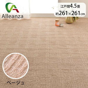 J[ybg x[W ]ˊ4.5 yʃJ[ybg O { AU o[IWi