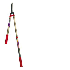 Sun Garden LkA~ MS|20