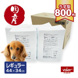 ペットシーツ レギュラー 800枚 国産 薄型 1回使い切り ペットシート 国内生産 うす型 無香料