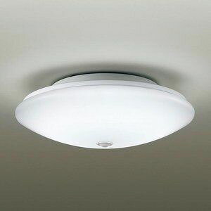 _CRE LED^V[O DXL-81065