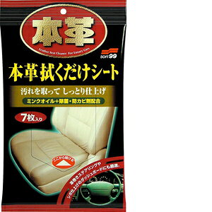 \tg99 Soft99 ԓ N[i[ {v@V[g Ԃ̓(V[gE_bV{[hEXeAO)̔vA͐lHv 7 02059