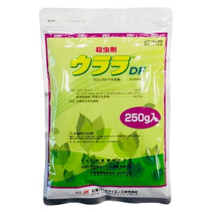 ΌoCITCGX EDF 250g