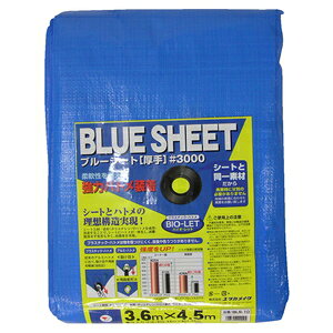 ^JCN u[V[giOBj 3000 3D6M×4D5M BLS|10