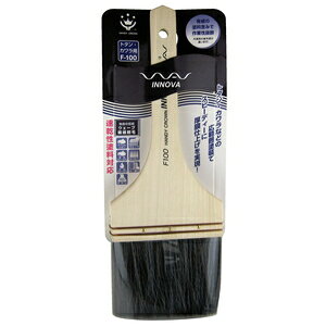 �n���f�B�E�N���E�� INNOVA �g�^���E�J�����p���� F�|100 100mm