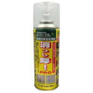 G[r[V[ IPRO 300ML KTS|300