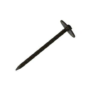 nCWbN J[PB41~~V11kg 24151