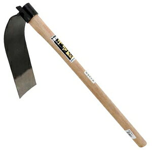 ��g �� ��������L ��