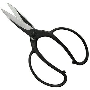 gn A lW BP NOD203B [|  ؕ]