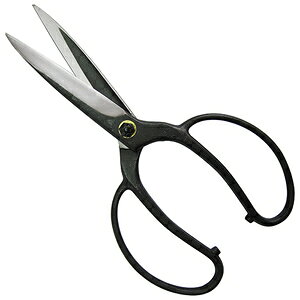 gn A lW BP NOD204 [|  ؕ]