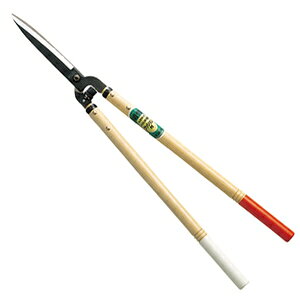 P  60^NbV NOD205K