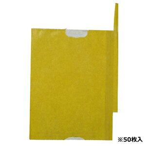 F{X ʎ܂悩EfR| K|19 50}CC