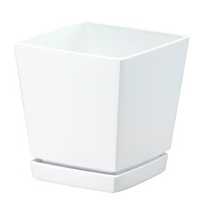 }g NG`[|bg Mt6 1D4L zCg