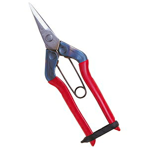 �`�J�}�T �X�e�����X�E���� T�|500S