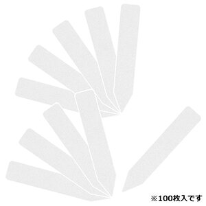 ZteB|3 |px񂴂100 75mm