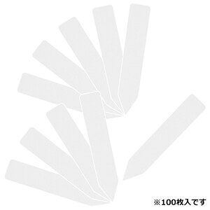 ZteB|3 |px񂴂100 90mm