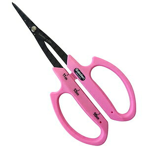 T{e Ԃǂ񒷐גn NoDB|1FPL