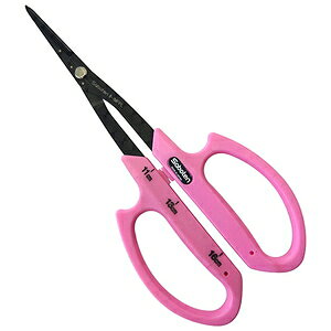 T{e Ԃǂ񒷐ׂn NoDB|1MFPL