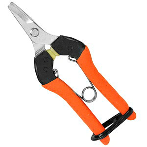 T{e Ռz ̉ʂ͂ NoDAG|2