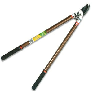 J}L Lk} 炭Ԃ NOD7510