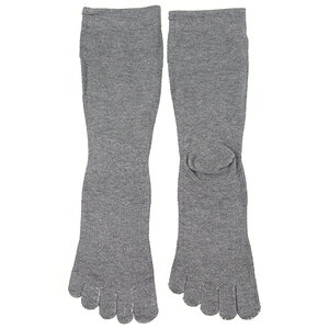 SK11 SC\bNXSTRONG SA2628GRY|M|5F