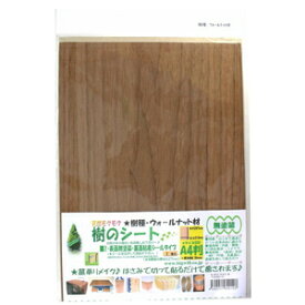 楽天市場 ウォールナット 木材 ホームセンター 木材 木材 建築資材 設備 花 ガーデン Diyの通販